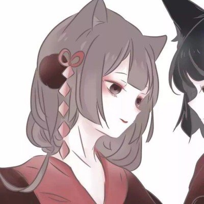 猫咪被卡自动猫砂盆死亡 品牌方回应